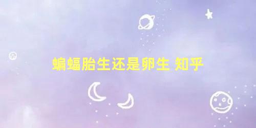蝙蝠胎生还是卵生 知乎